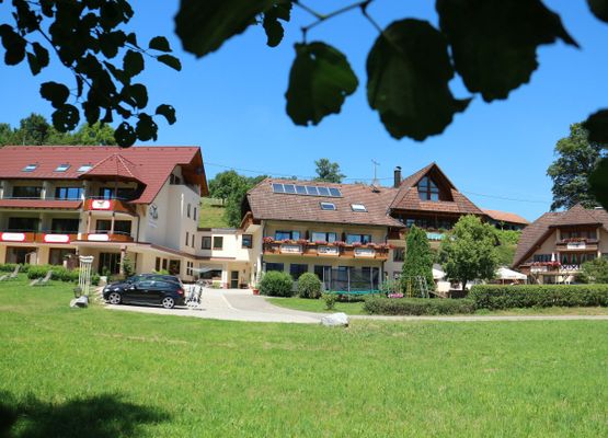 Landgasthof Adler-Pelzmühle, (Elzach). Ferienwohnung Penthouse im Stammhaus, 100qm, 1 Schlafzimmer