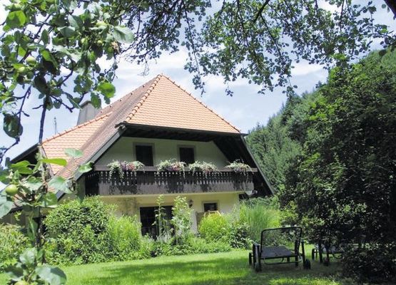 Haus Brigitte - Hintere Mühle - Ferienwohnung Bergluft 88qm