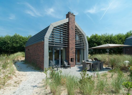 Beautiful new villa with sauna surrounded by dune reserve near the sea