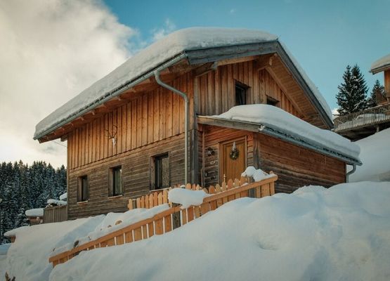 Dachstein Chalet Alpenrose Haustier erlaubt