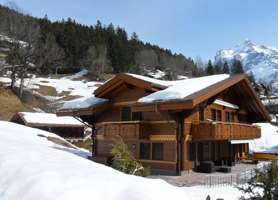 Chalet Princess with spa area